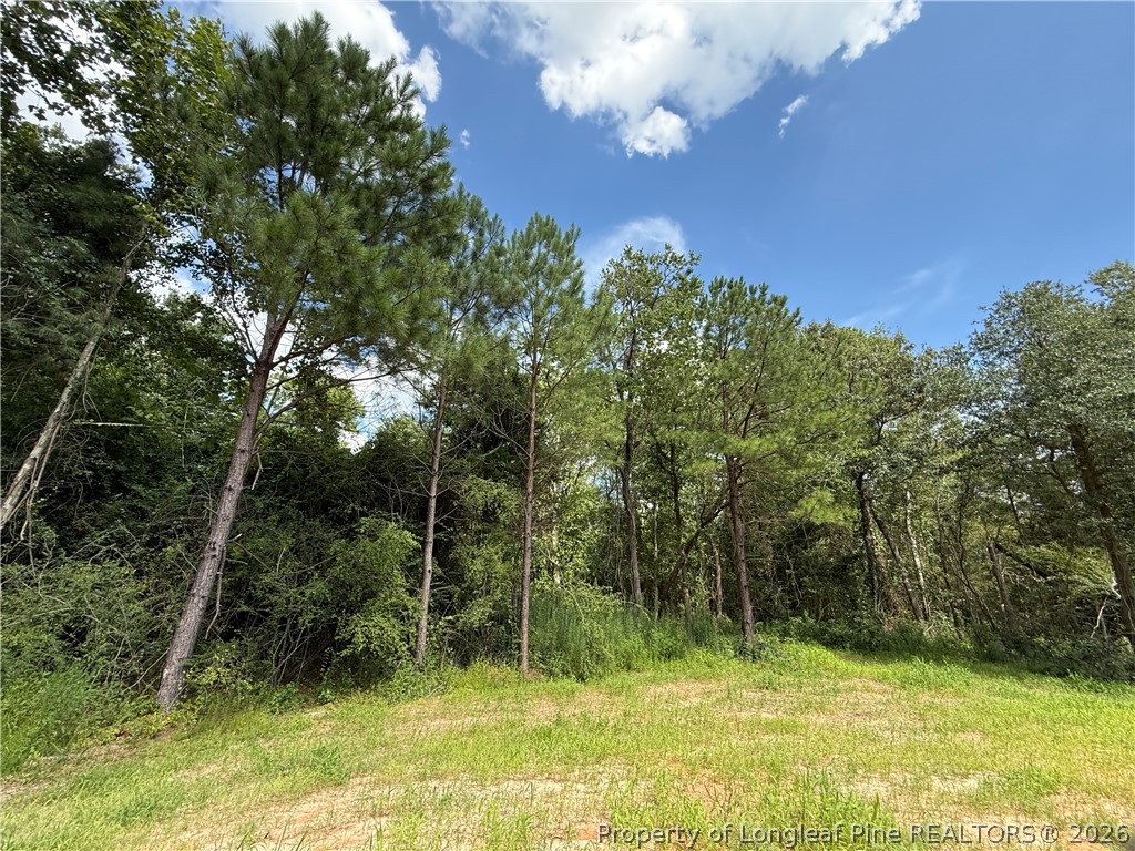 263 Strother Road Aberdeen, NC 28315 - Photo 16 of 16 Wooded in back