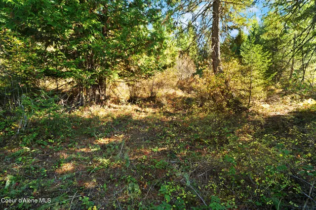 $179,000 | Nna Sunsetter Lane, Cocolalla, ID 83813