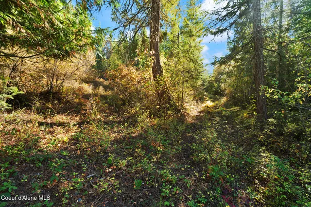 $179,000 | Nna Sunsetter Lane, Cocolalla, ID 83813