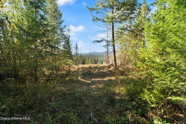 $179,000 | Nna Sunsetter Lane, Cocolalla, ID 83813