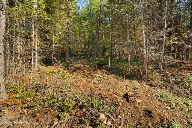 $179,000 | Nna Sunsetter Lane, Cocolalla, ID 83813