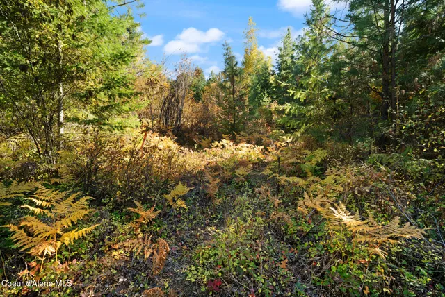 $179,000 | Nna Sunsetter Lane, Cocolalla, ID 83813