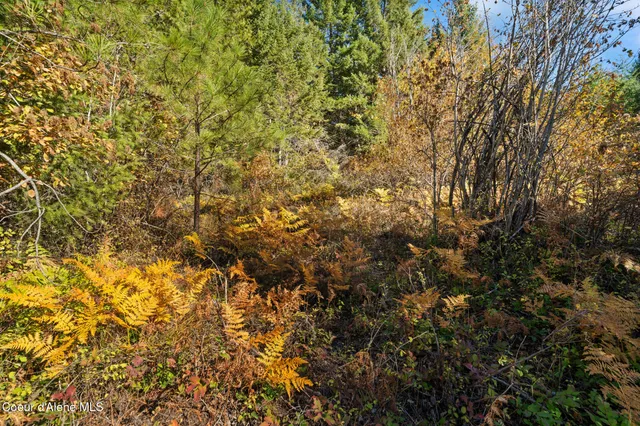 $179,000 | Nna Sunsetter Lane, Cocolalla, ID 83813