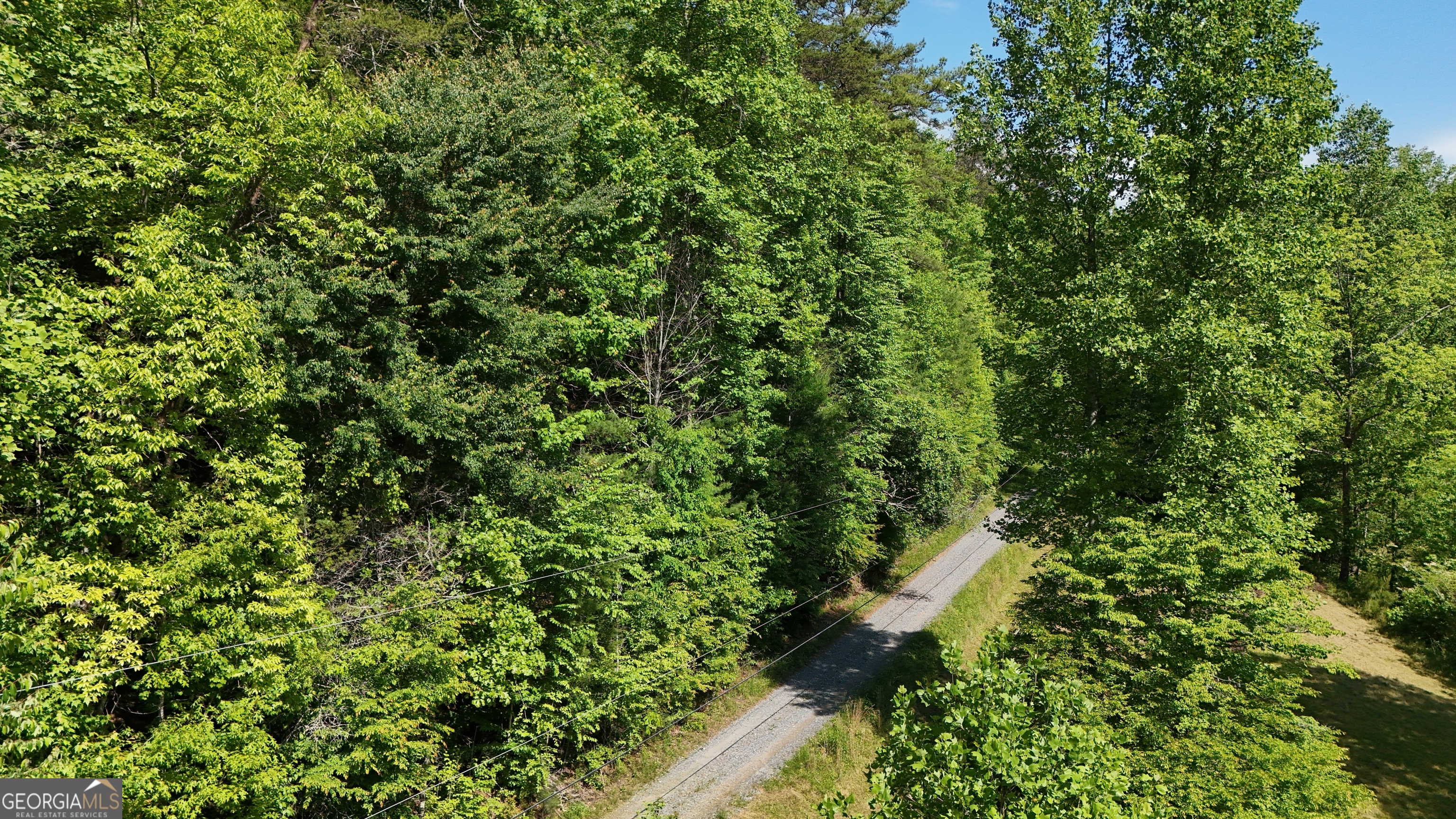 0 Gold Springs Road Ellijay, GA 30540 - Photo 13 of 13