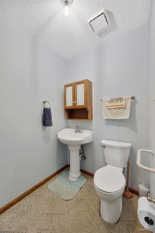 2529 Sunnyside Road Festus, MO 63028 - Photo 18 of 70