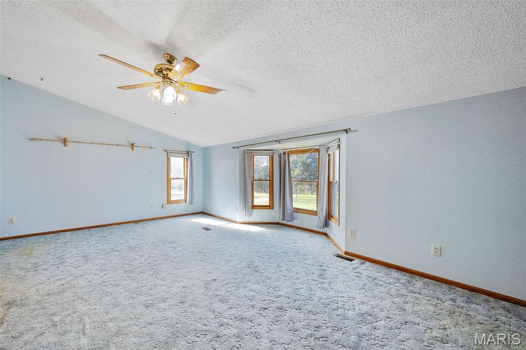 2529 Sunnyside Road Festus, MO 63028 - Photo 19 of 70