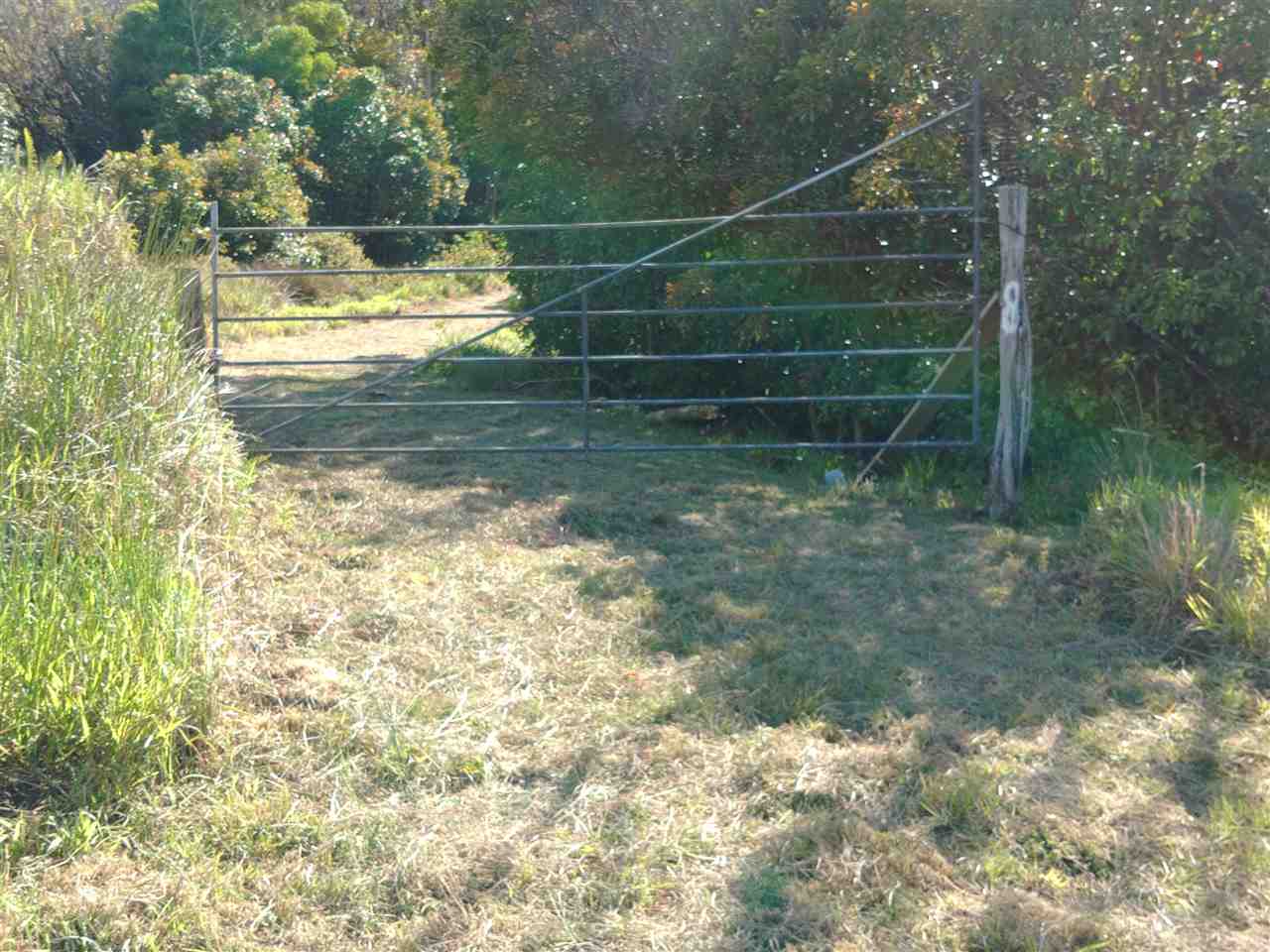 8 Awalau Road, Unit PHILLIPS SUBDIVISION #8 Haiku, HI 96708 - Photo 2 of 12 a view of a small yard