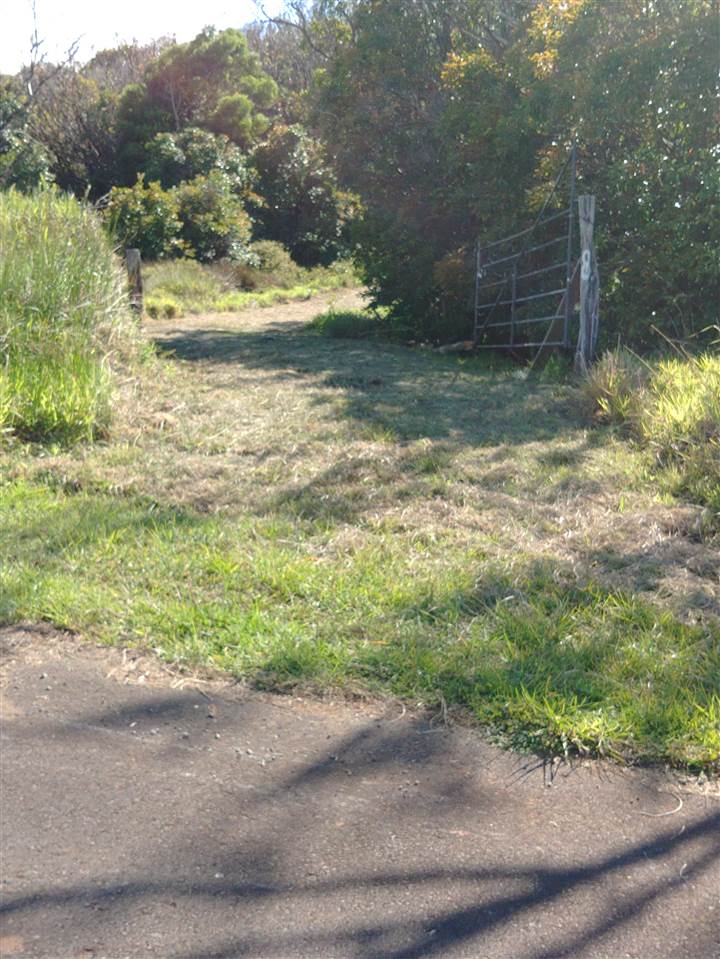 8 Awalau Road, Unit PHILLIPS SUBDIVISION #8 Haiku, HI 96708 - Photo 3 of 12 a backyard of a house with a yard and large tree
