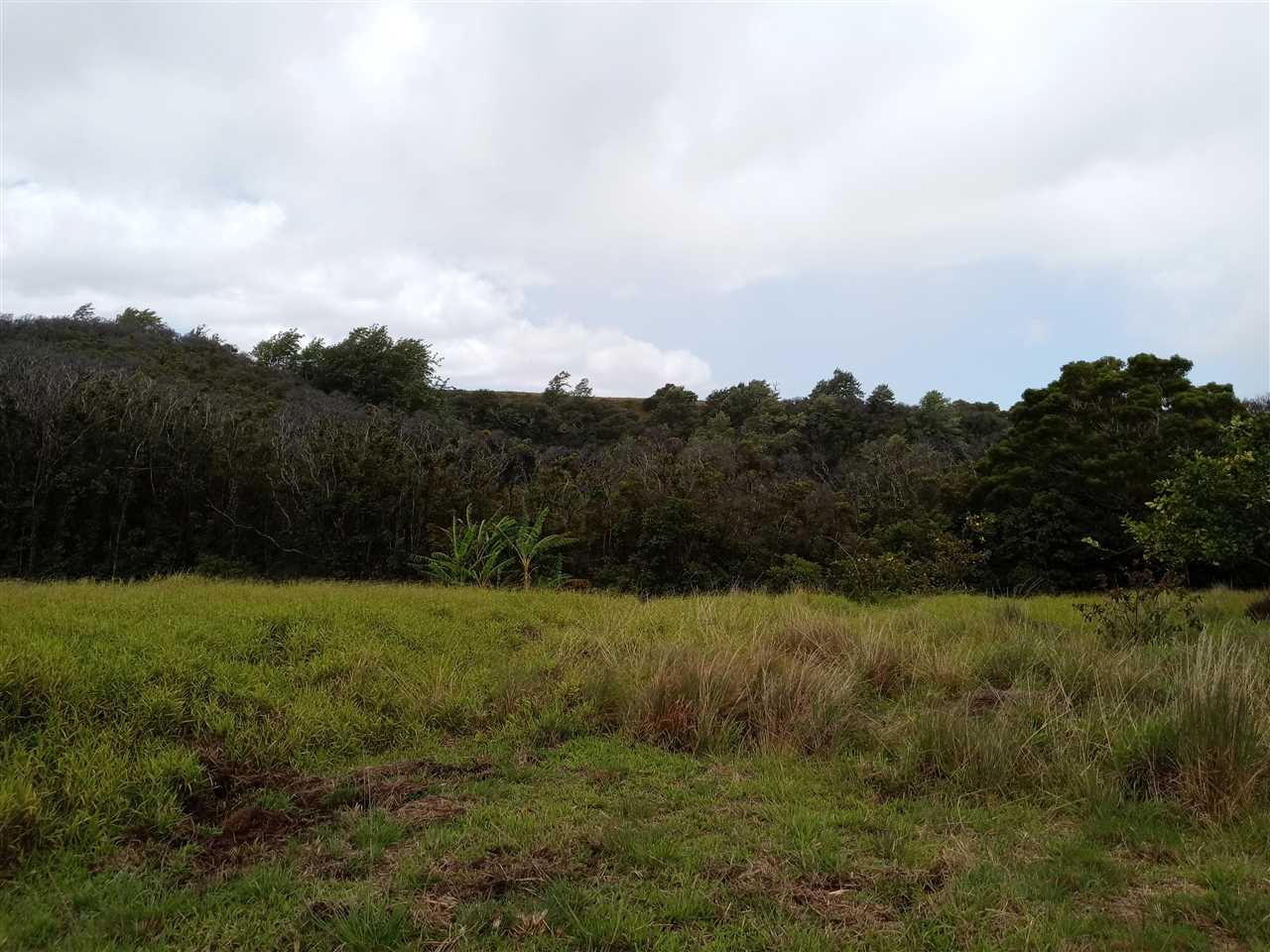 8 Awalau Road, Unit PHILLIPS SUBDIVISION #8 Haiku, HI 96708 - Photo 10 of 12 a view of grassy field with trees