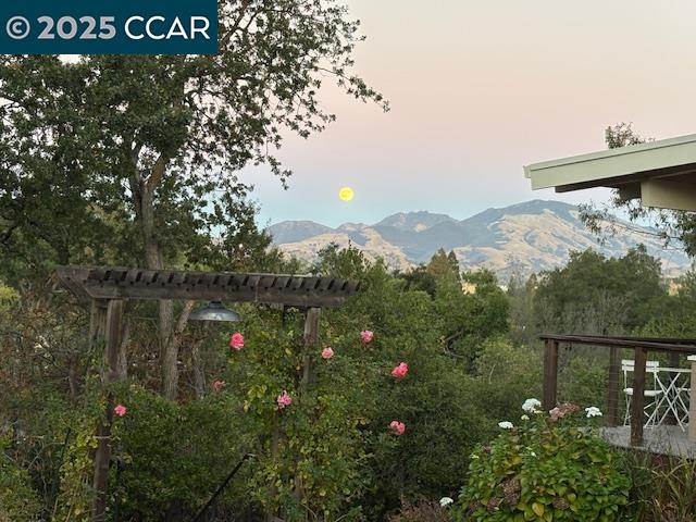 20 Boulevard Court, Unit B Walnut Creek, CA 94595 - Photo 1 of 1 a view of a lake from a balcony