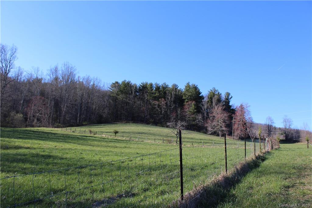 9999 Hudgins Road Hendersonville, NC 28792 - Photo 11 of 24
