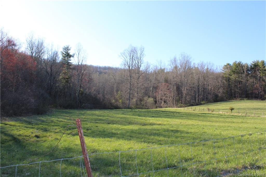 9999 Hudgins Road Hendersonville, NC 28792 - Photo 12 of 24