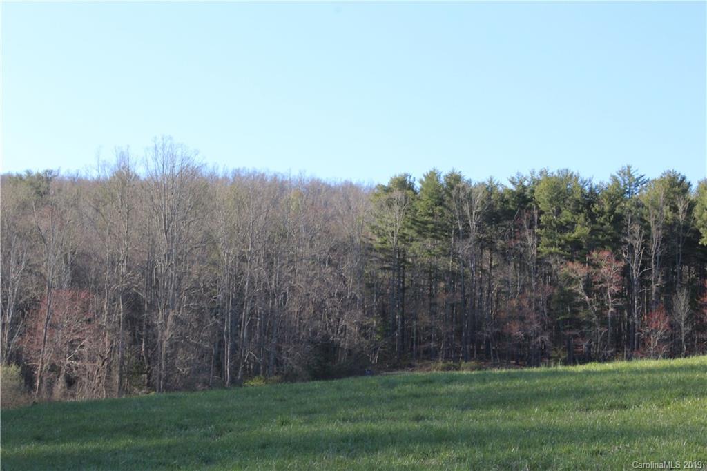 9999 Hudgins Road Hendersonville, NC 28792 - Photo 20 of 24