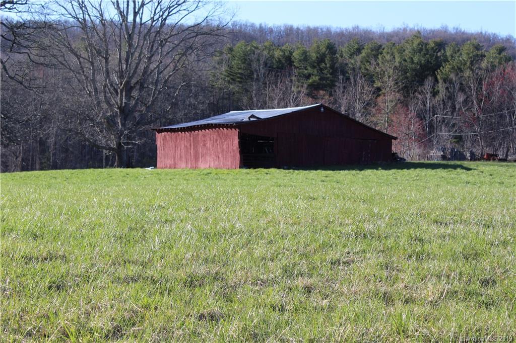 9999 Hudgins Road Hendersonville, NC 28792 - Photo 3 of 24