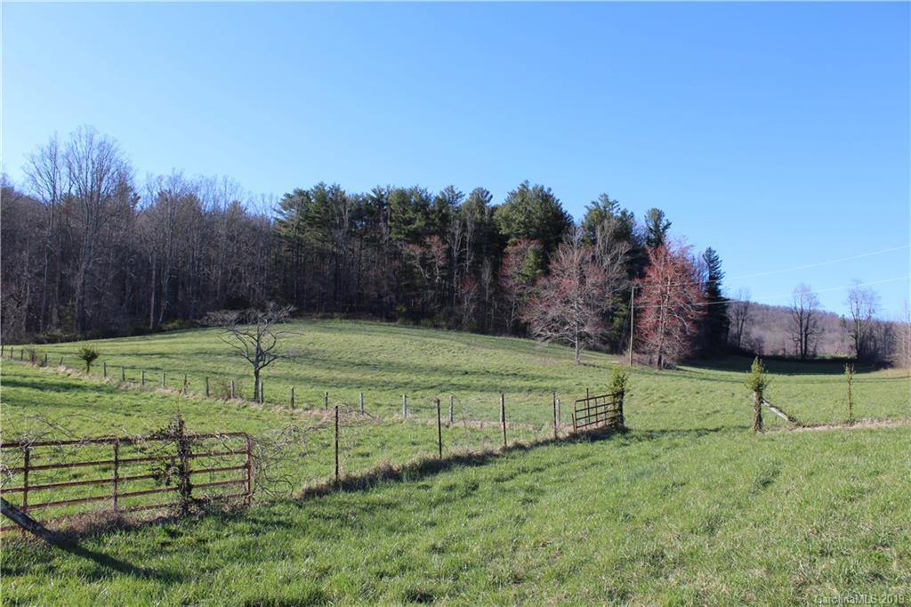 9999 Hudgins Road Hendersonville, NC 28792 - Photo 10 of 24