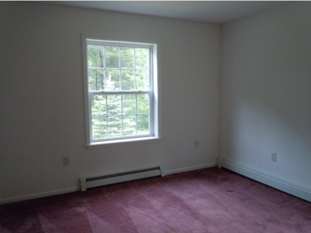 335 Governors Road Milton, NH 03851 - Photo 11 of 22