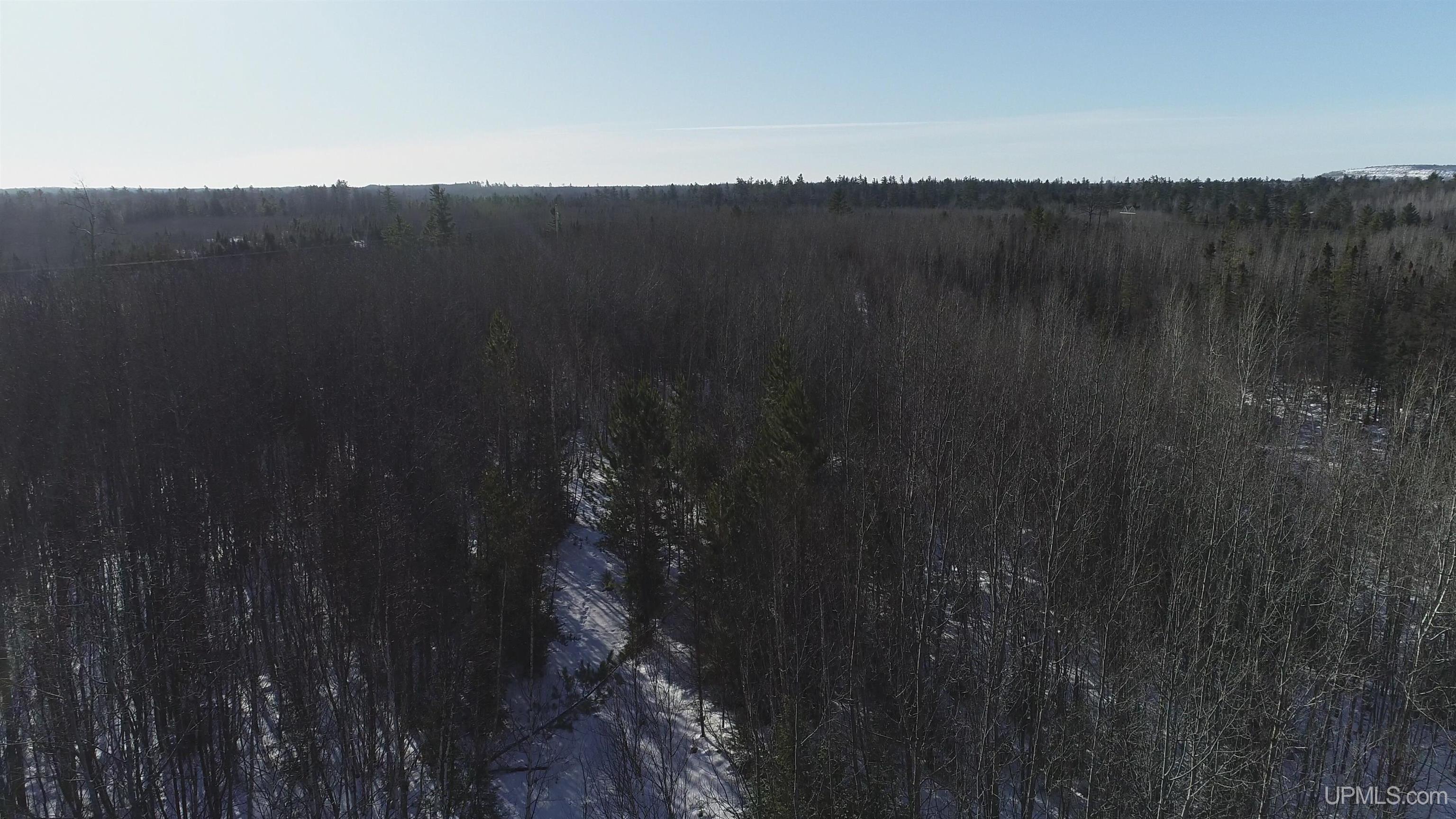 20-acres Co Rd 20-acres Co Road Champion, MI 49814 - Photo 29 of 34