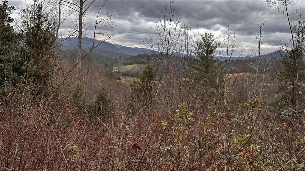 0 Tom Dula Road Ferguson, NC 28624 - Photo 11 of 47