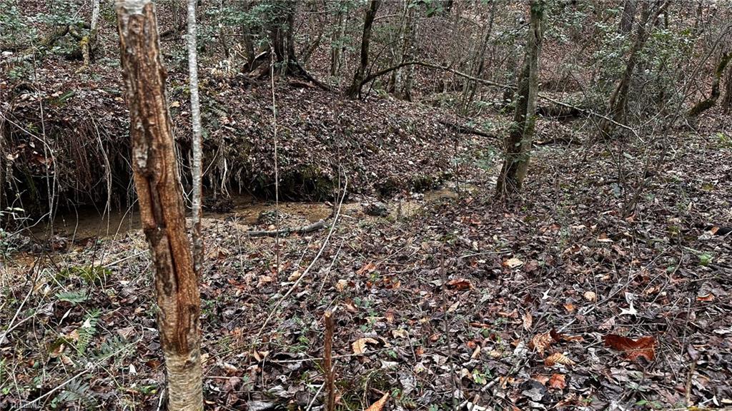 0 Tom Dula Road Ferguson, NC 28624 - Photo 11 of 46