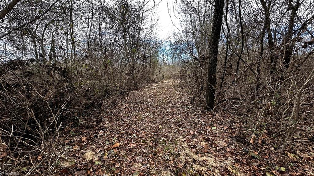 0 Tom Dula Road Ferguson, NC 28624 - Photo 12 of 46