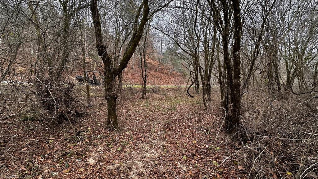 0 Tom Dula Road Ferguson, NC 28624 - Photo 13 of 46