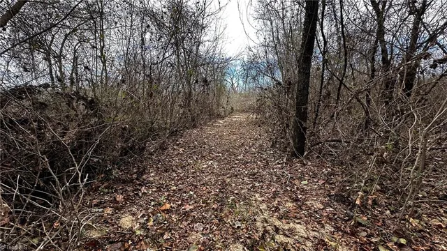 $916,800 | 0 Tom Dula Road, Ferguson, NC 28624