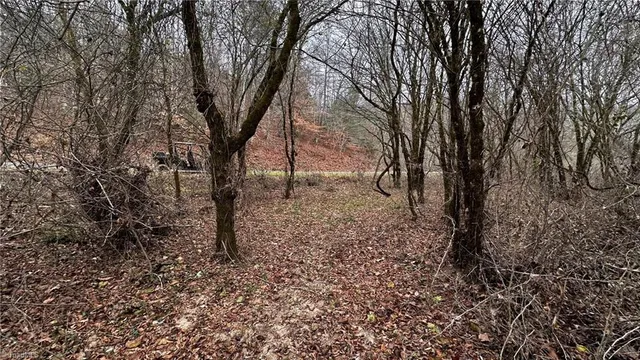 $916,800 | 0 Tom Dula Road, Ferguson, NC 28624