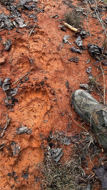 0 Tom Dula Road Ferguson, NC 28624 - Photo 14 of 46