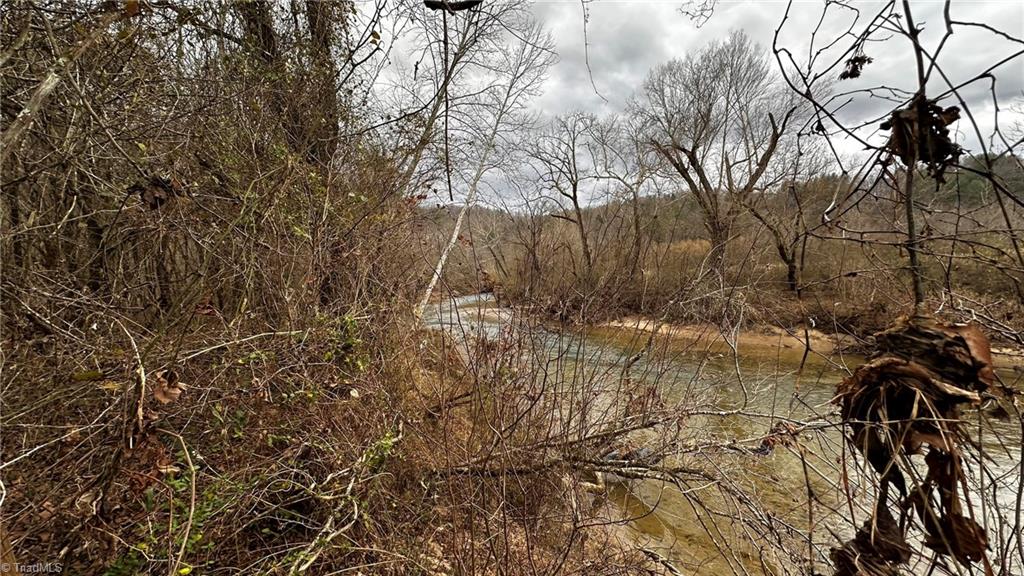 0 Tom Dula Road Ferguson, NC 28624 - Photo 18 of 47