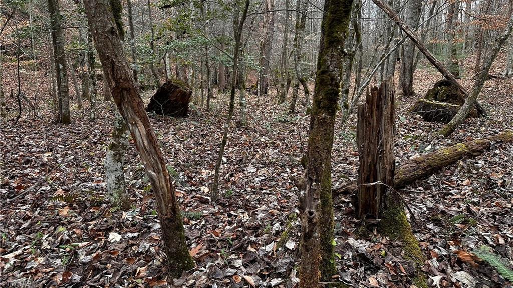 0 Tom Dula Road Ferguson, NC 28624 - Photo 19 of 47