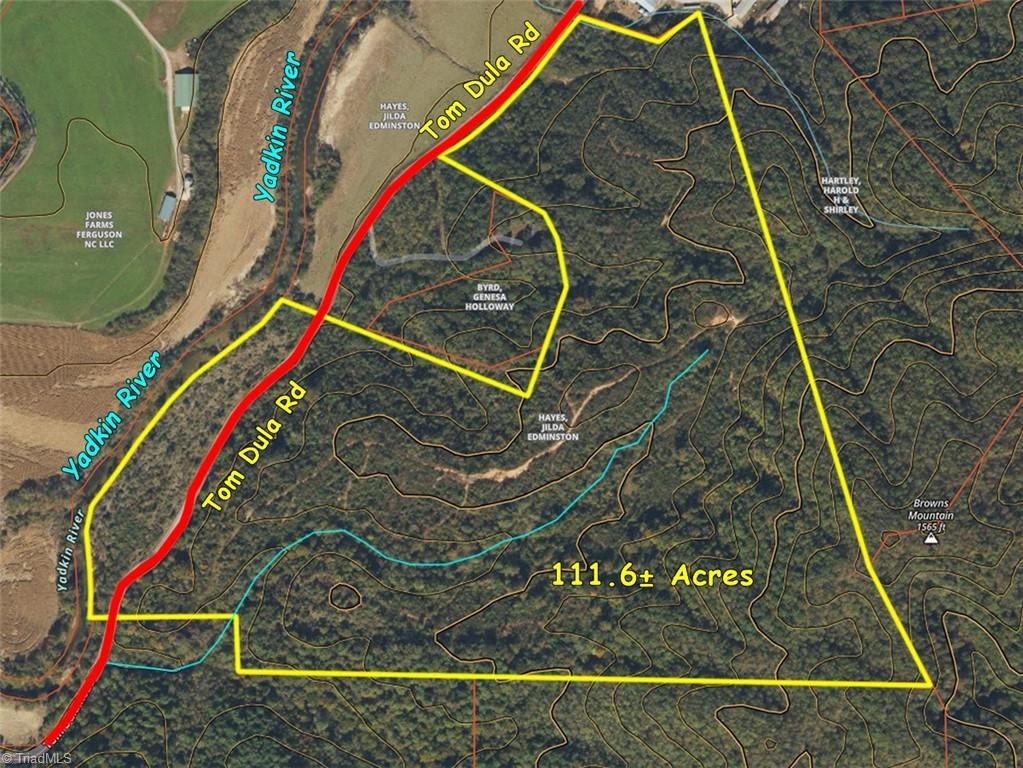 0 Tom Dula Road Ferguson, NC 28624 - Photo 2 of 46