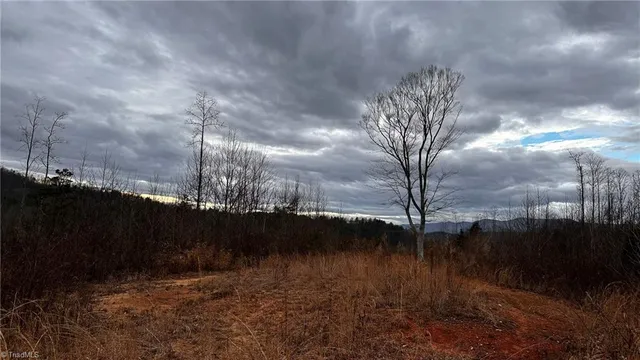 $916,800 | 0 Tom Dula Road, Ferguson, NC 28624