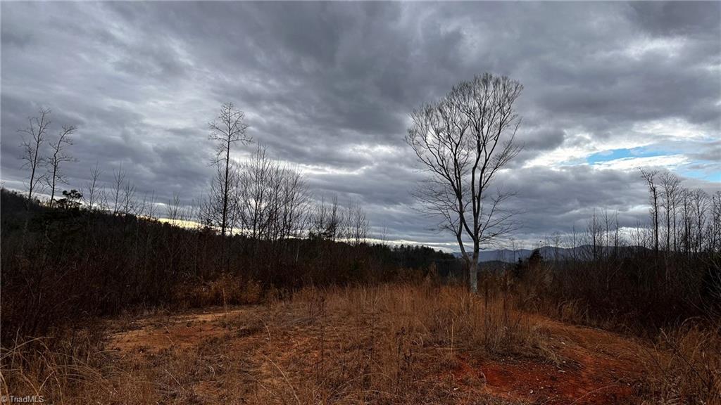 0 Tom Dula Road Ferguson, NC 28624 - Photo 22 of 47