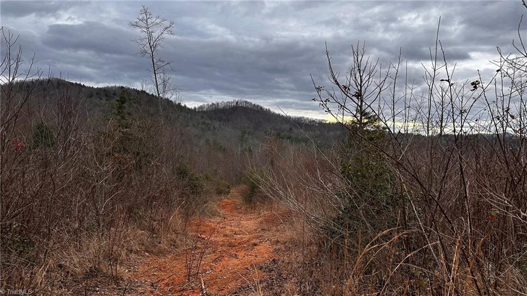 0 Tom Dula Road Ferguson, NC 28624 - Photo 23 of 47