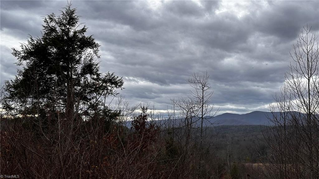 0 Tom Dula Road Ferguson, NC 28624 - Photo 24 of 46