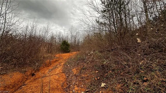 $916,800 | 0 Tom Dula Road, Ferguson, NC 28624