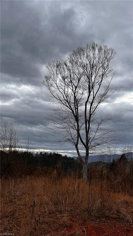 0 Tom Dula Road Ferguson, NC 28624 - Photo 25 of 46