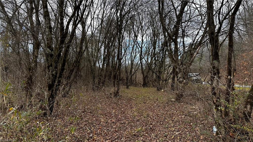 0 Tom Dula Road Ferguson, NC 28624 - Photo 29 of 46