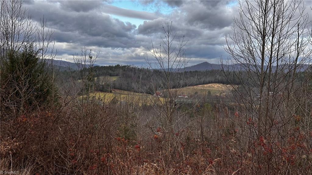 0 Tom Dula Road Ferguson, NC 28624 - Photo 3 of 46