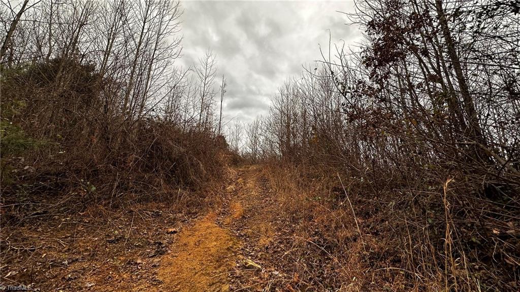 0 Tom Dula Road Ferguson, NC 28624 - Photo 32 of 47