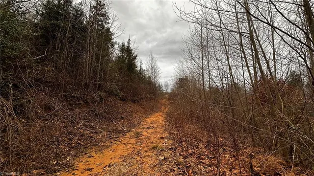 $916,800 | 0 Tom Dula Road, Ferguson, NC 28624