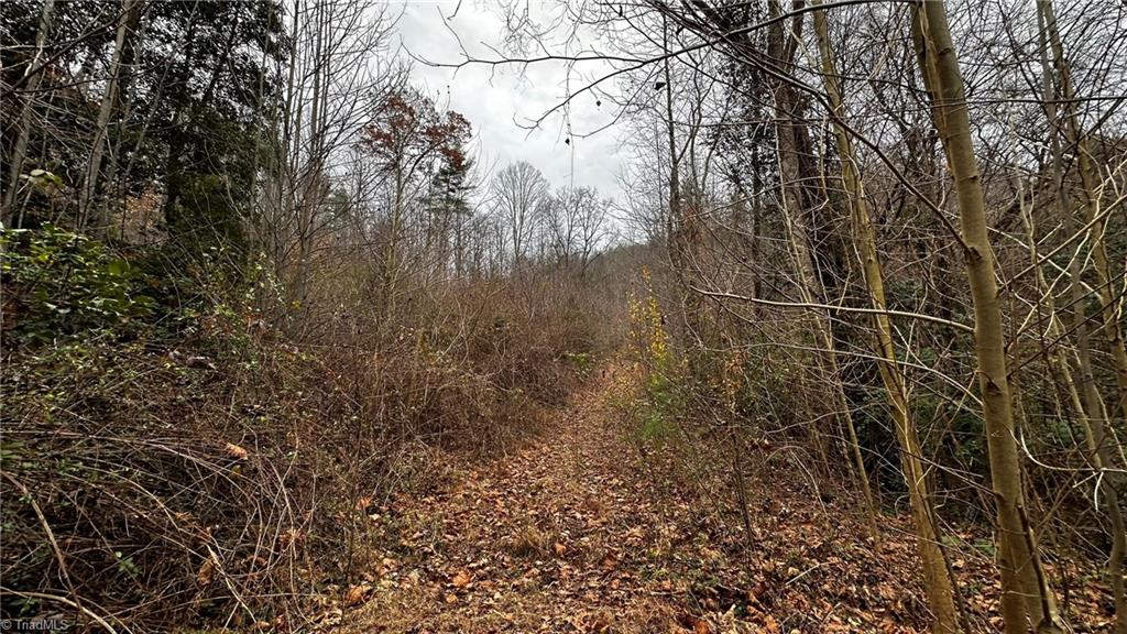 0 Tom Dula Road Ferguson, NC 28624 - Photo 34 of 47