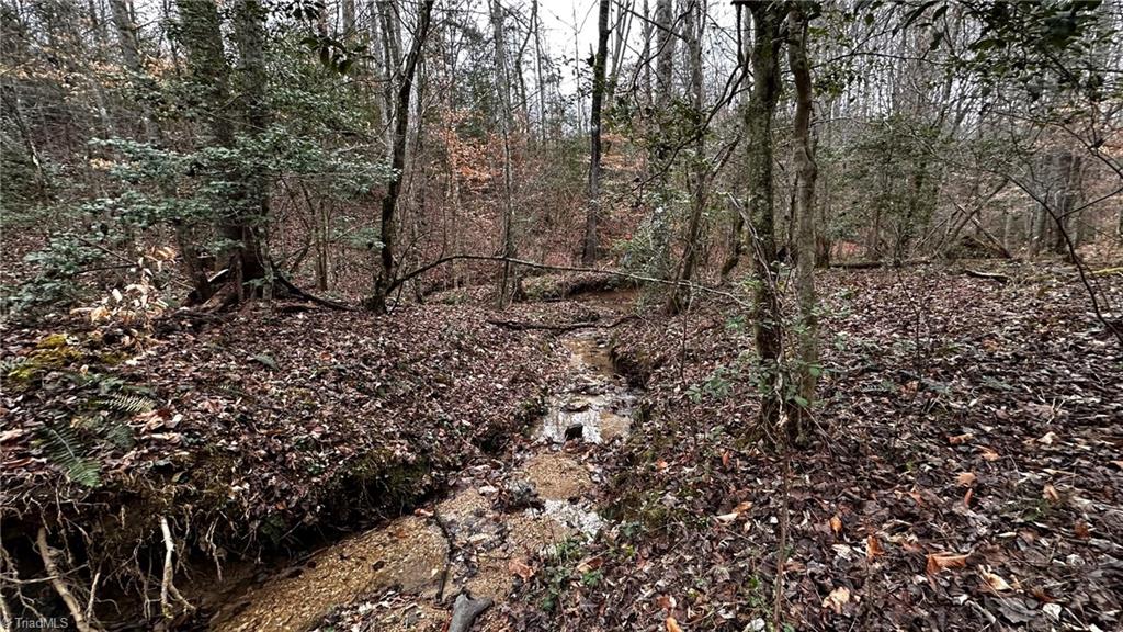 0 Tom Dula Road Ferguson, NC 28624 - Photo 35 of 46