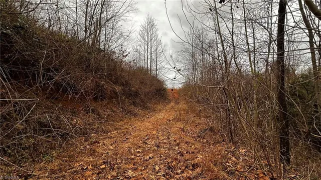 $916,800 | 0 Tom Dula Road, Ferguson, NC 28624