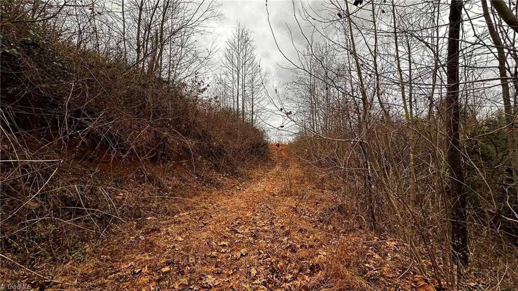 0 Tom Dula Road Ferguson, NC 28624 - Photo 35 of 47