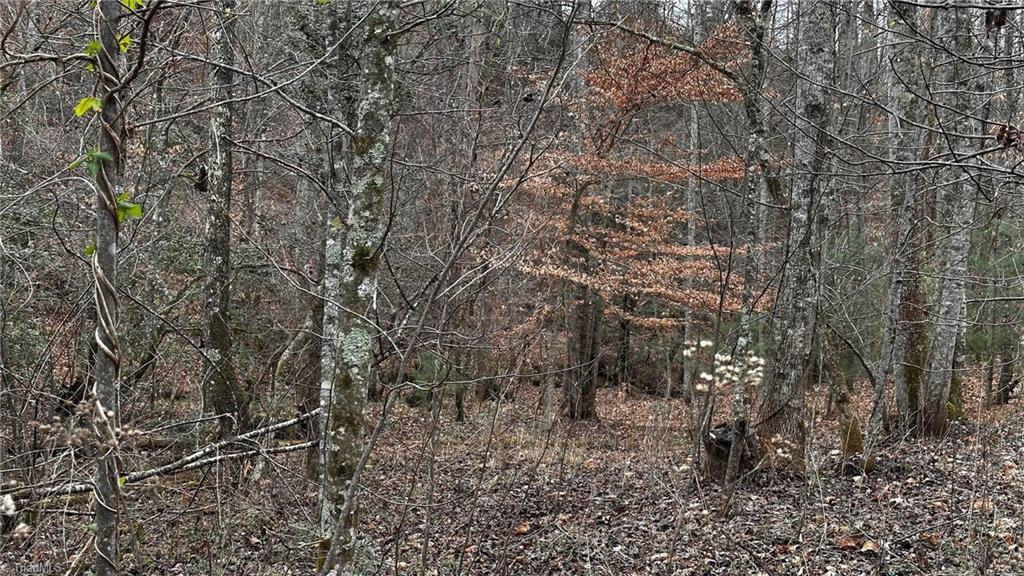 0 Tom Dula Road Ferguson, NC 28624 - Photo 36 of 46