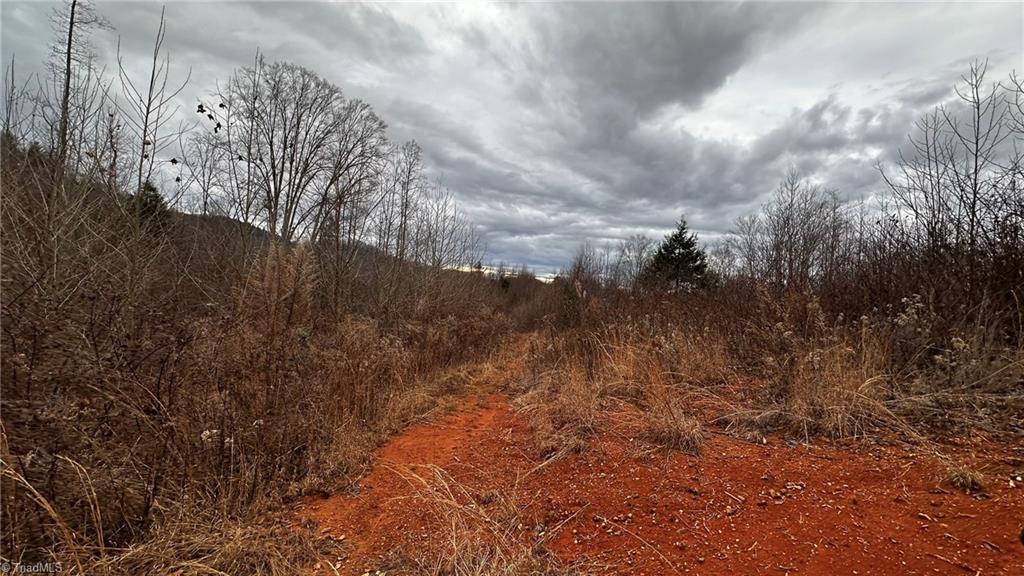 0 Tom Dula Road Ferguson, NC 28624 - Photo 37 of 46