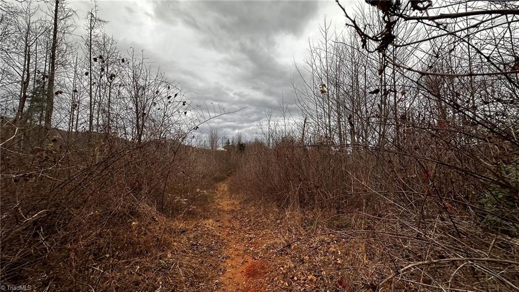 0 Tom Dula Road Ferguson, NC 28624 - Photo 38 of 46