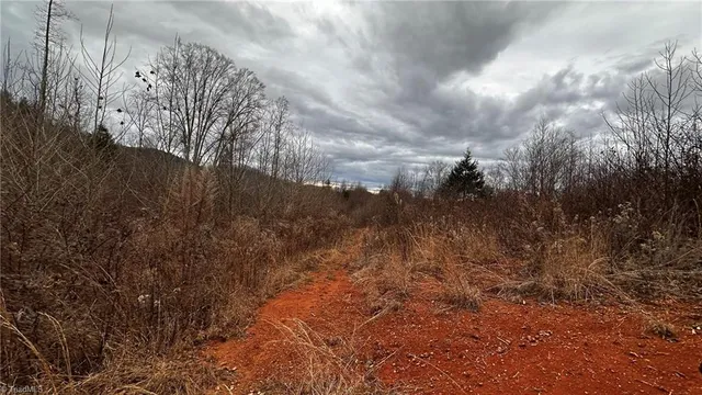 $916,800 | 0 Tom Dula Road, Ferguson, NC 28624