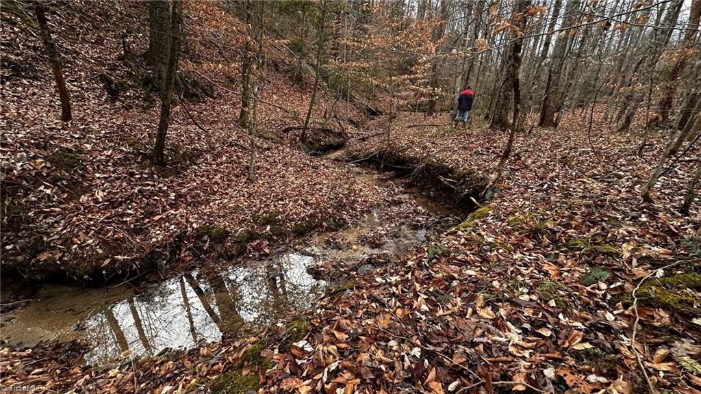 0 Tom Dula Road Ferguson, NC 28624 - Photo 39 of 46